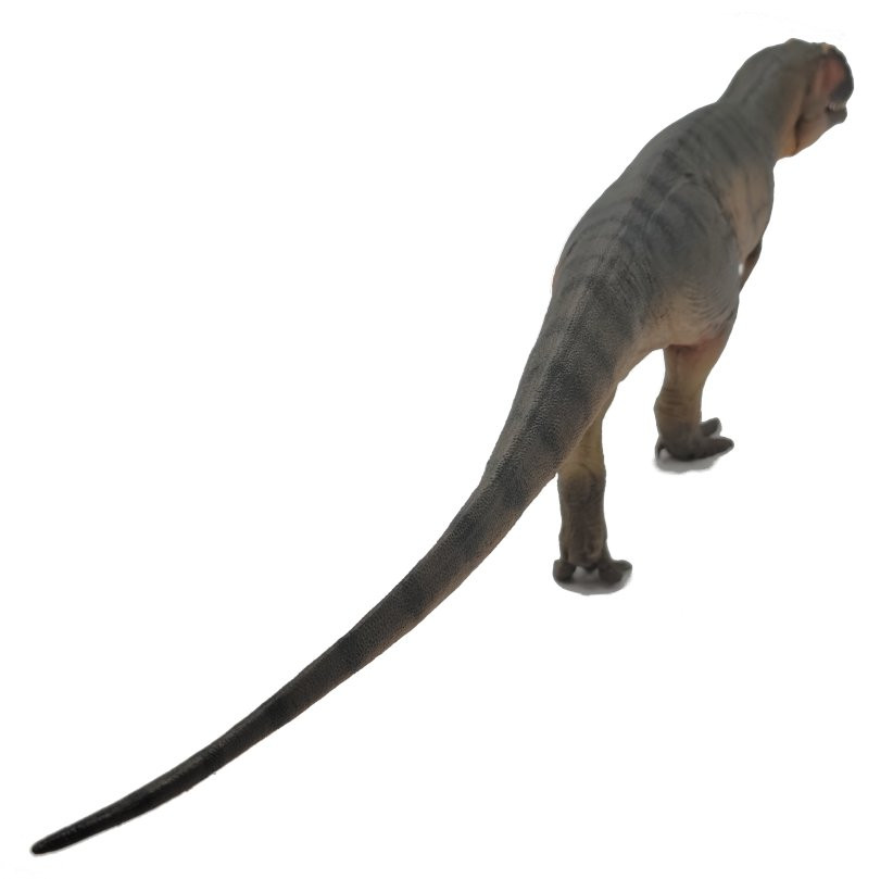 PNSO Giganotosaurus - Lucas - New Model - Back View